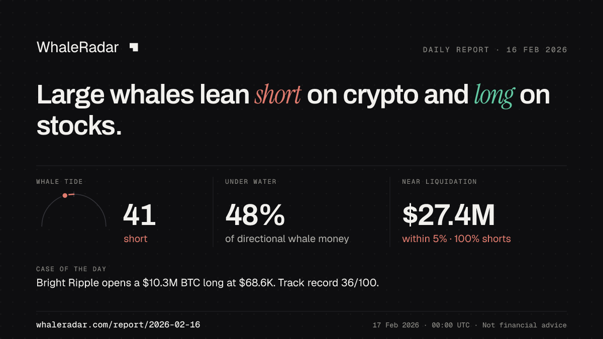Share card for the report of 2026-02-16: Large whales lean short on crypto and long on stocks.