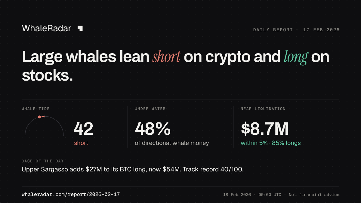 Share card for the report of 2026-02-17: Large whales lean short on crypto and long on stocks.
