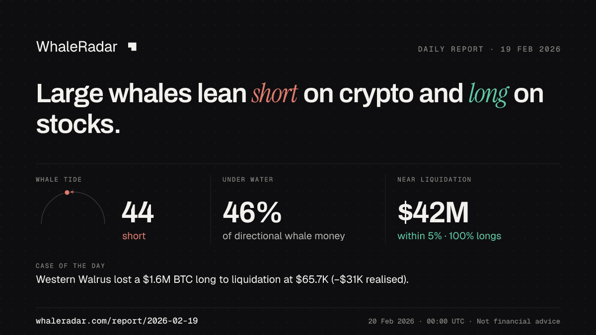 Share card for the report of 2026-02-19: Large whales lean short on crypto and long on stocks.