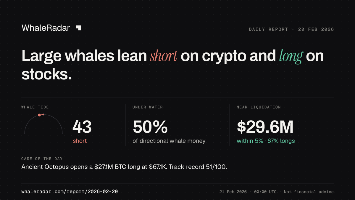 Share card for the report of 2026-02-20: Large whales lean short on crypto and long on stocks.