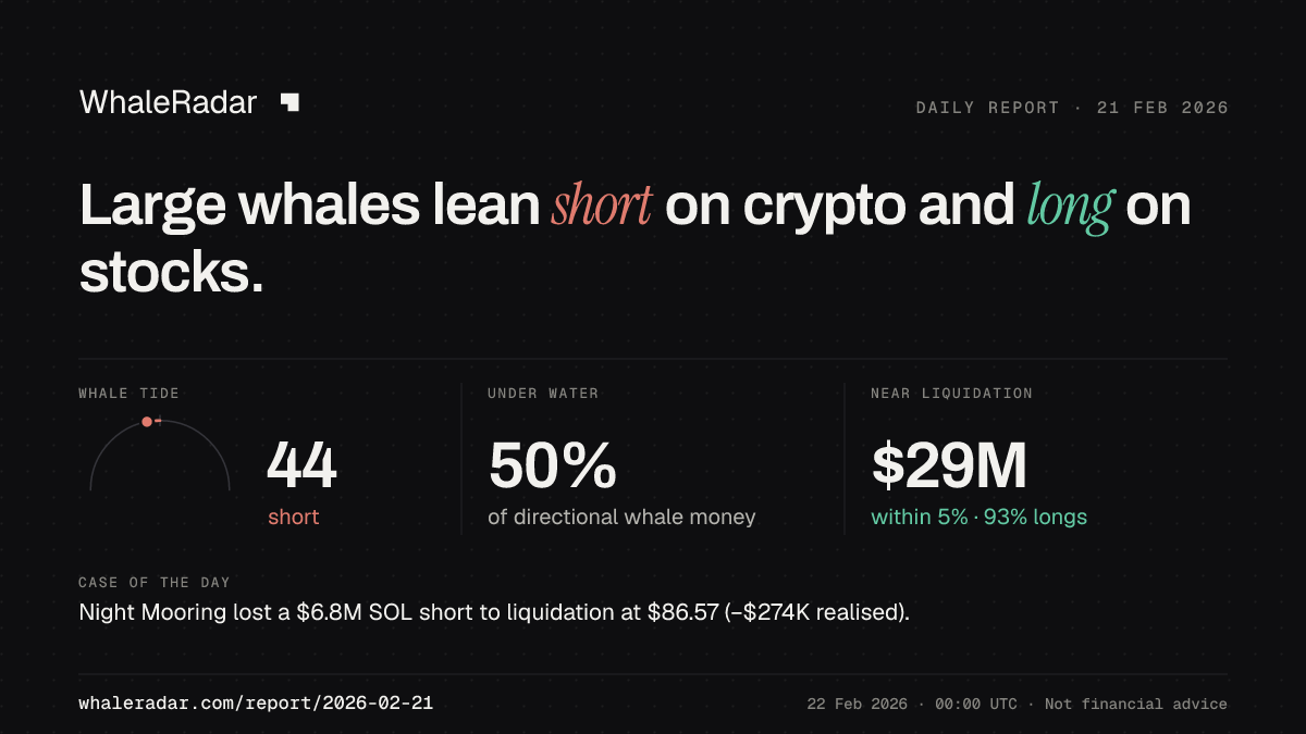 Share card for the report of 2026-02-21: Large whales lean short on crypto and long on stocks.