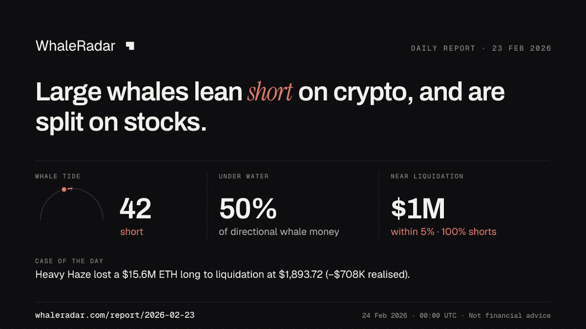 Share card for the report of 2026-02-23: Large whales lean short on crypto, and are split on stocks.