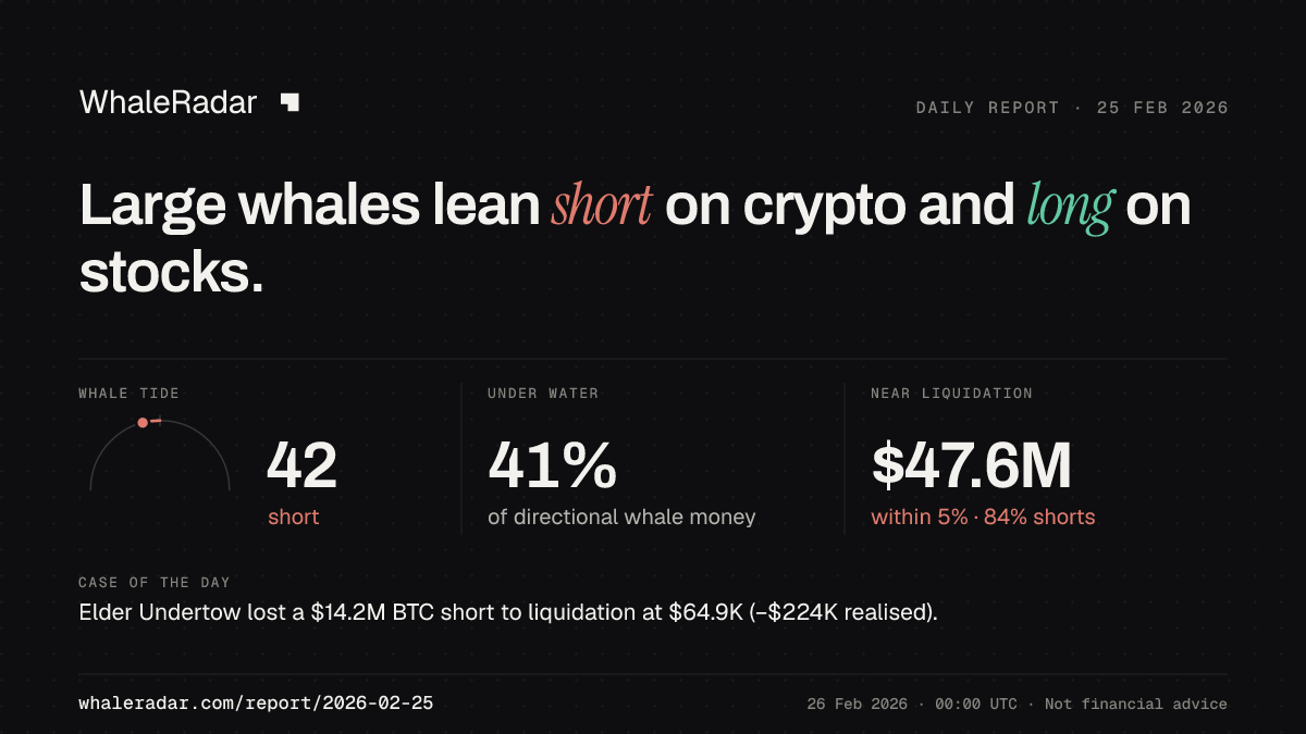 Share card for the report of 2026-02-25: Large whales lean short on crypto and long on stocks.