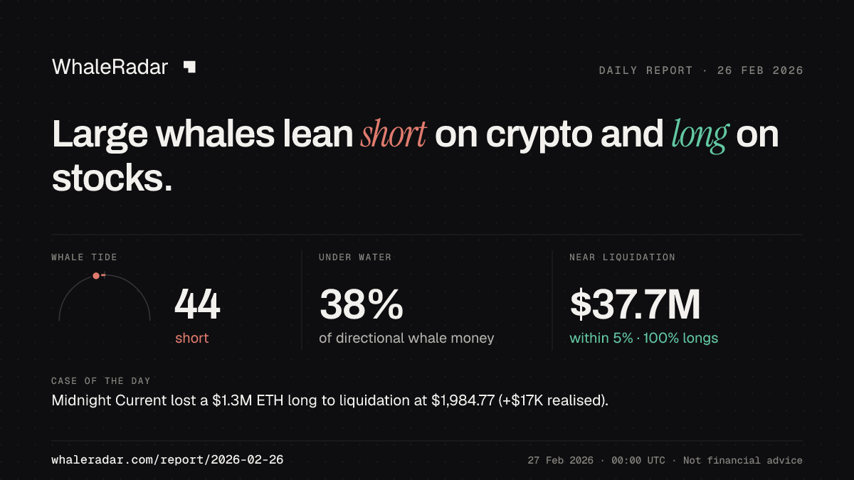Share card for the report of 2026-02-26: Large whales lean short on crypto and long on stocks.