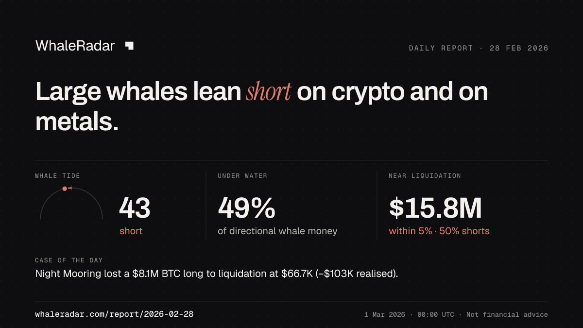 Share card for the report of 2026-02-28: Large whales lean short on crypto and on metals.