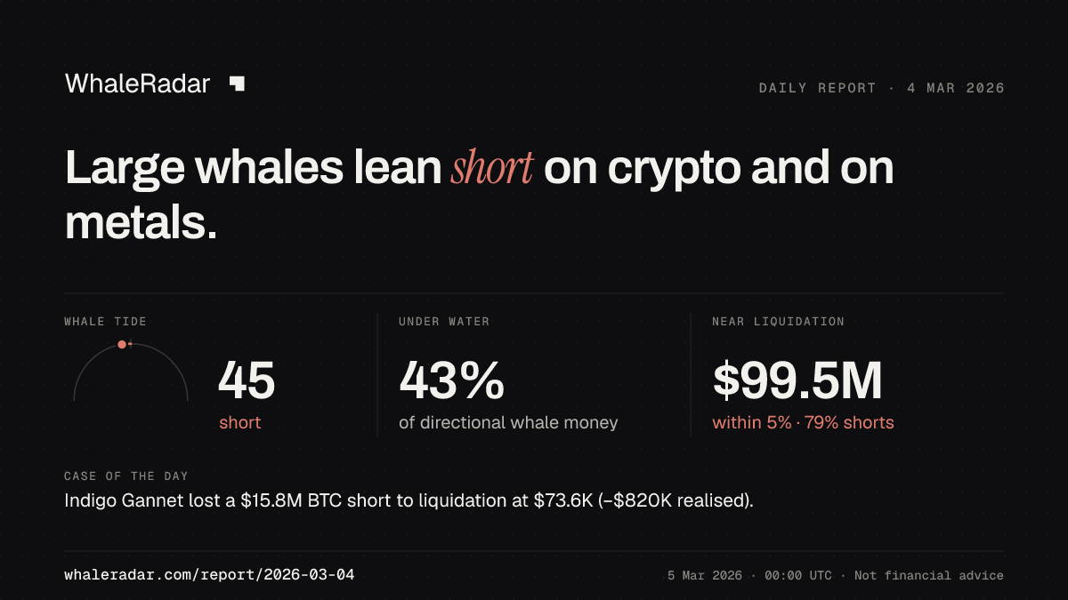 Share card for the report of 2026-03-04: Large whales lean short on crypto and on metals.