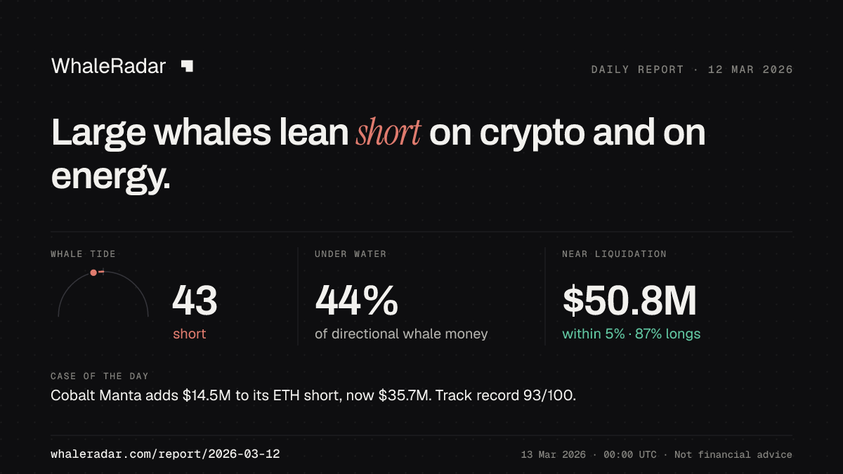 Share card for the report of 2026-03-12: Large whales lean short on crypto and on energy.