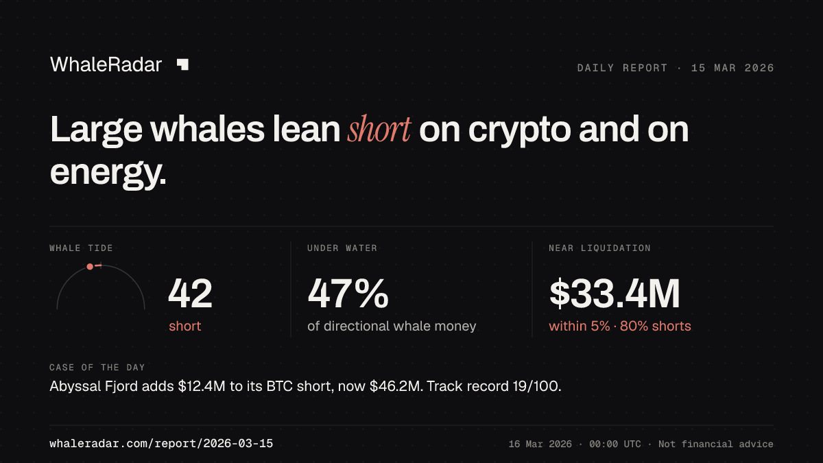 Share card for the report of 2026-03-15: Large whales lean short on crypto and on energy.