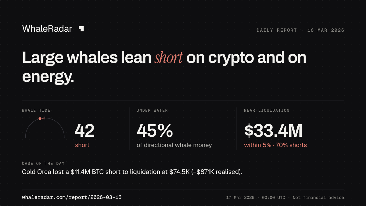 Share card for the report of 2026-03-16: Large whales lean short on crypto and on energy.