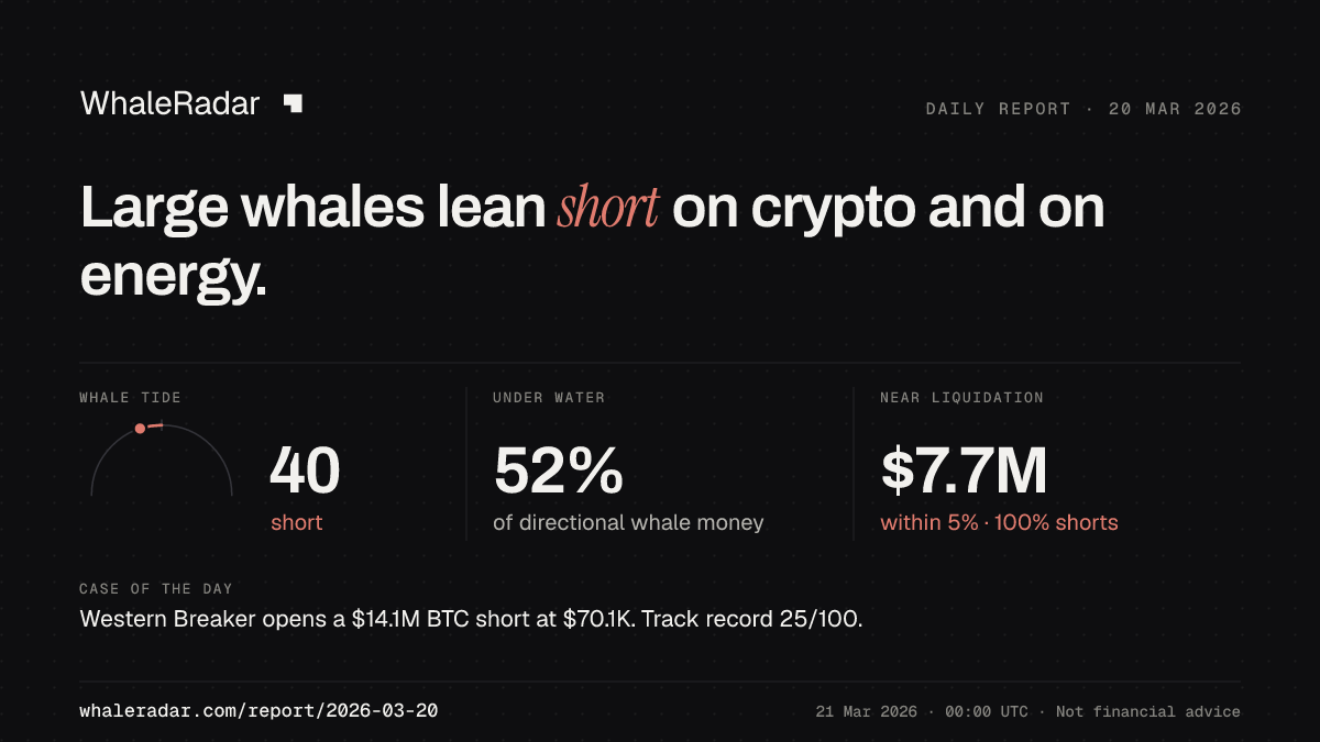 Share card for the report of 2026-03-20: Large whales lean short on crypto and on energy.