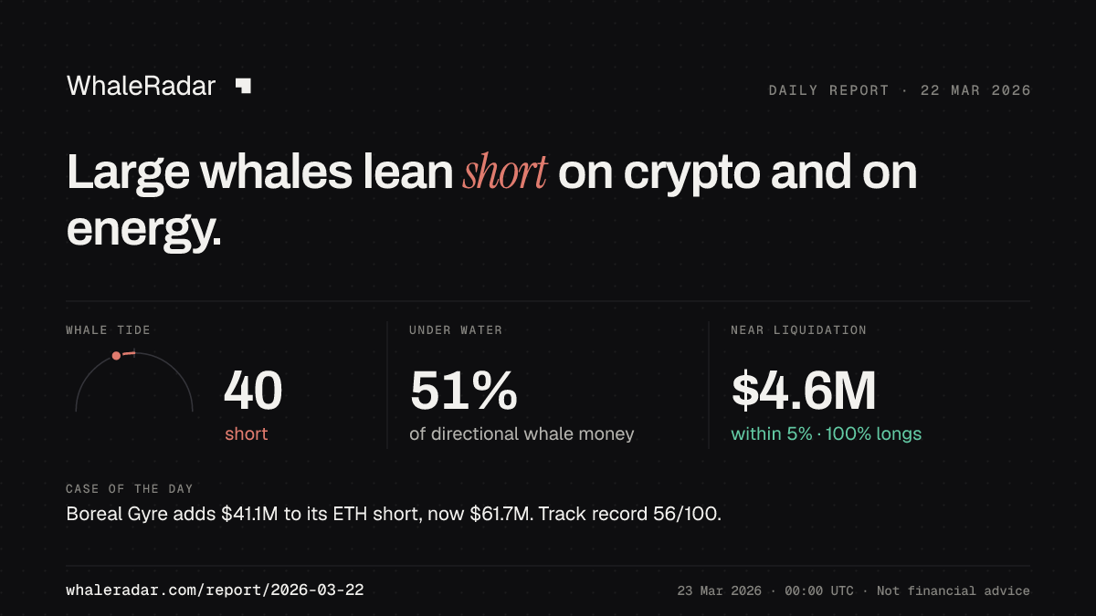 Share card for the report of 2026-03-22: Large whales lean short on crypto and on energy.