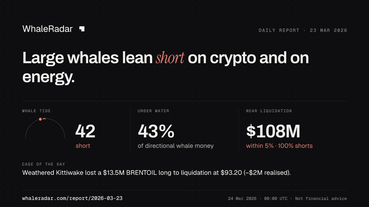 Share card for the report of 2026-03-23: Large whales lean short on crypto and on energy.