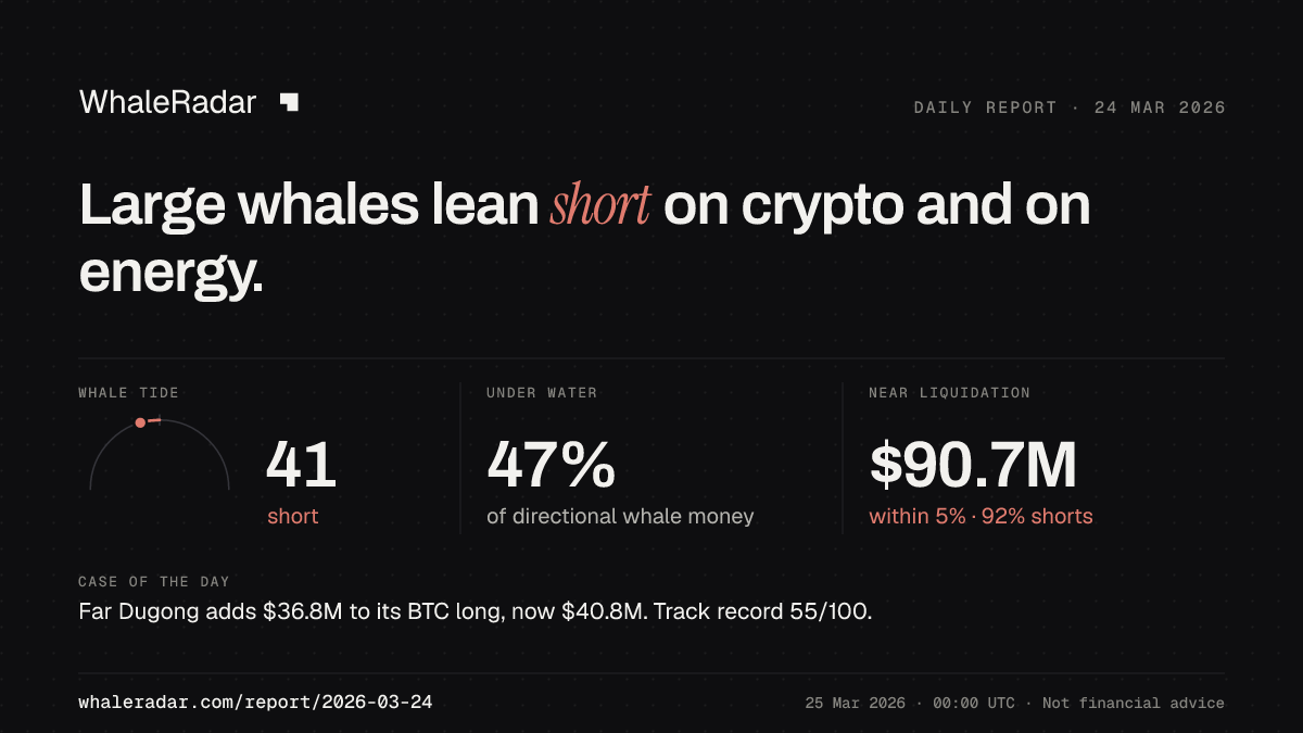 Share card for the report of 2026-03-24: Large whales lean short on crypto and on energy.