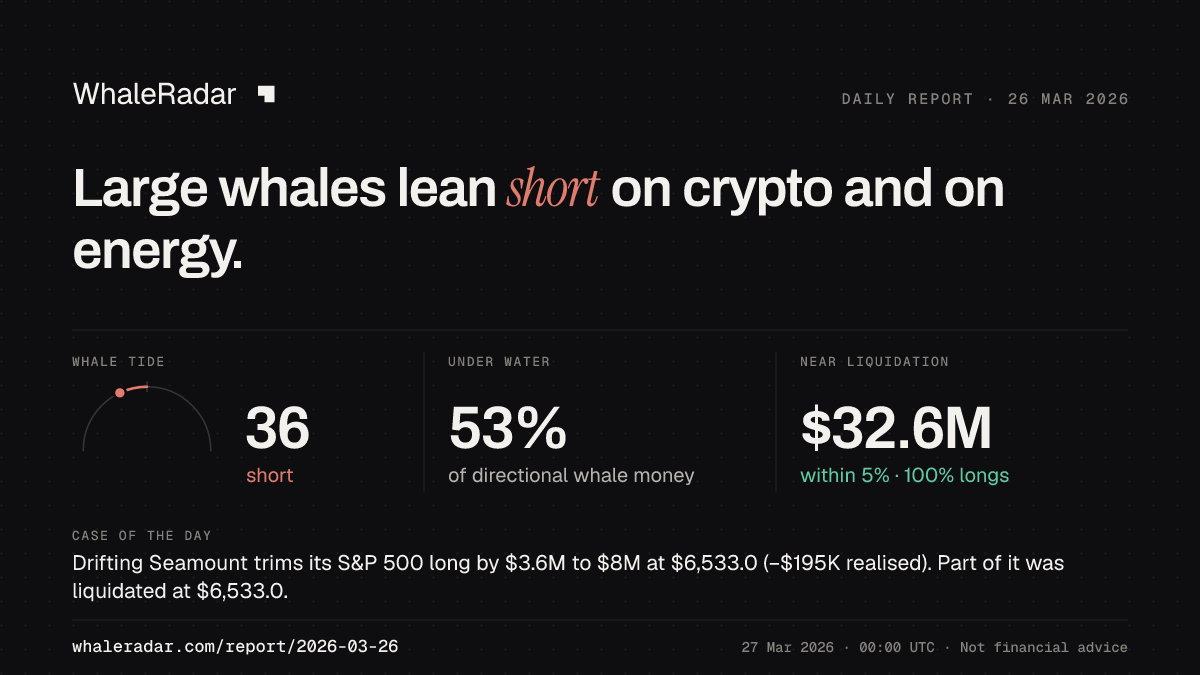 Share card for the report of 2026-03-26: Large whales lean short on crypto and on energy.