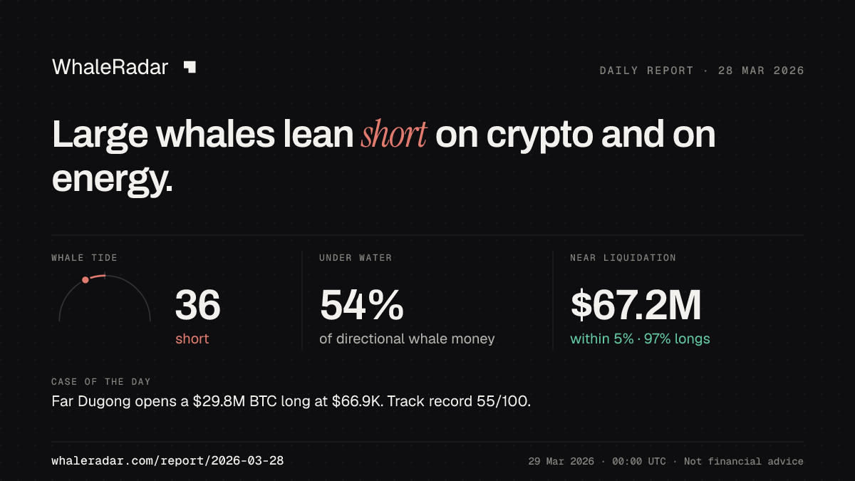 Share card for the report of 2026-03-28: Large whales lean short on crypto and on energy.