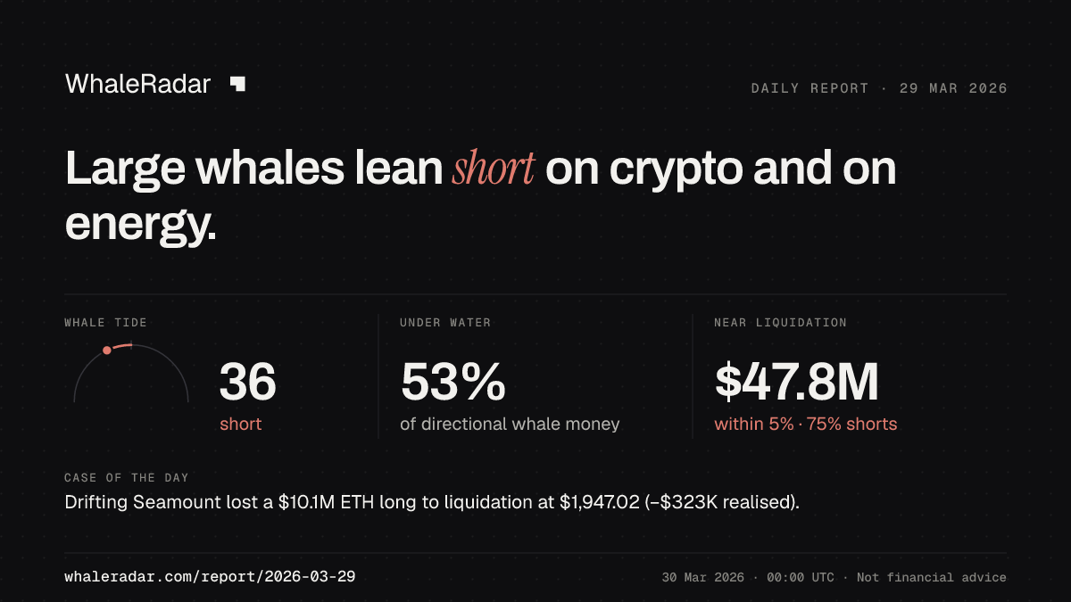 Share card for the report of 2026-03-29: Large whales lean short on crypto and on energy.