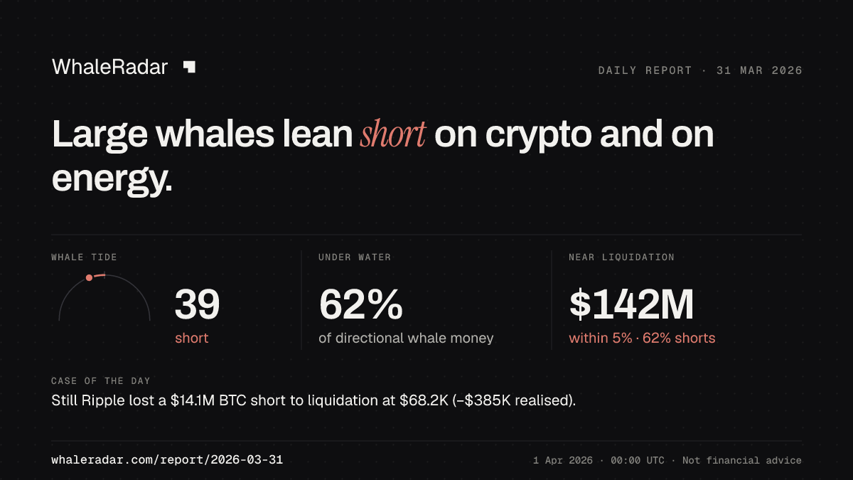 Share card for the report of 2026-03-31: Large whales lean short on crypto and on energy.