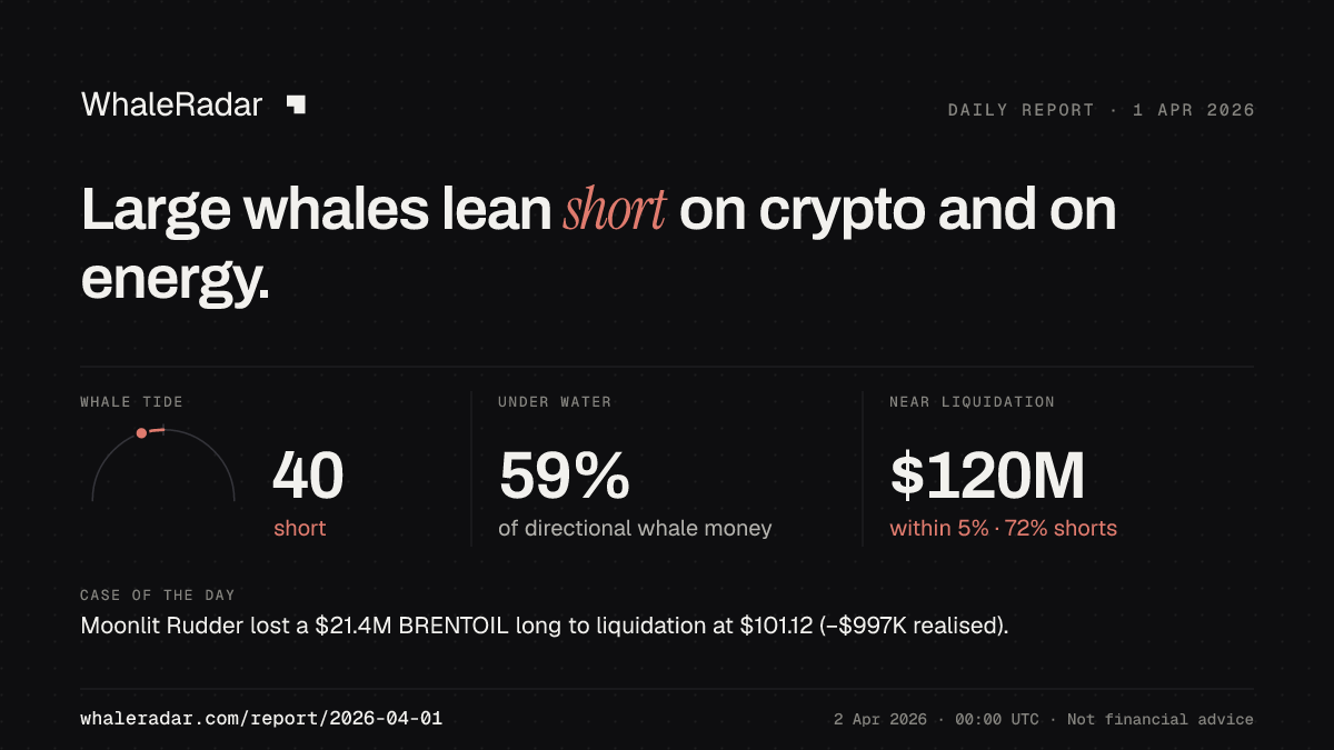 Share card for the report of 2026-04-01: Large whales lean short on crypto and on energy.