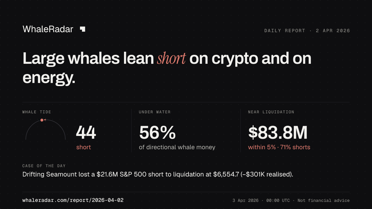 Share card for the report of 2026-04-02: Large whales lean short on crypto and on energy.
