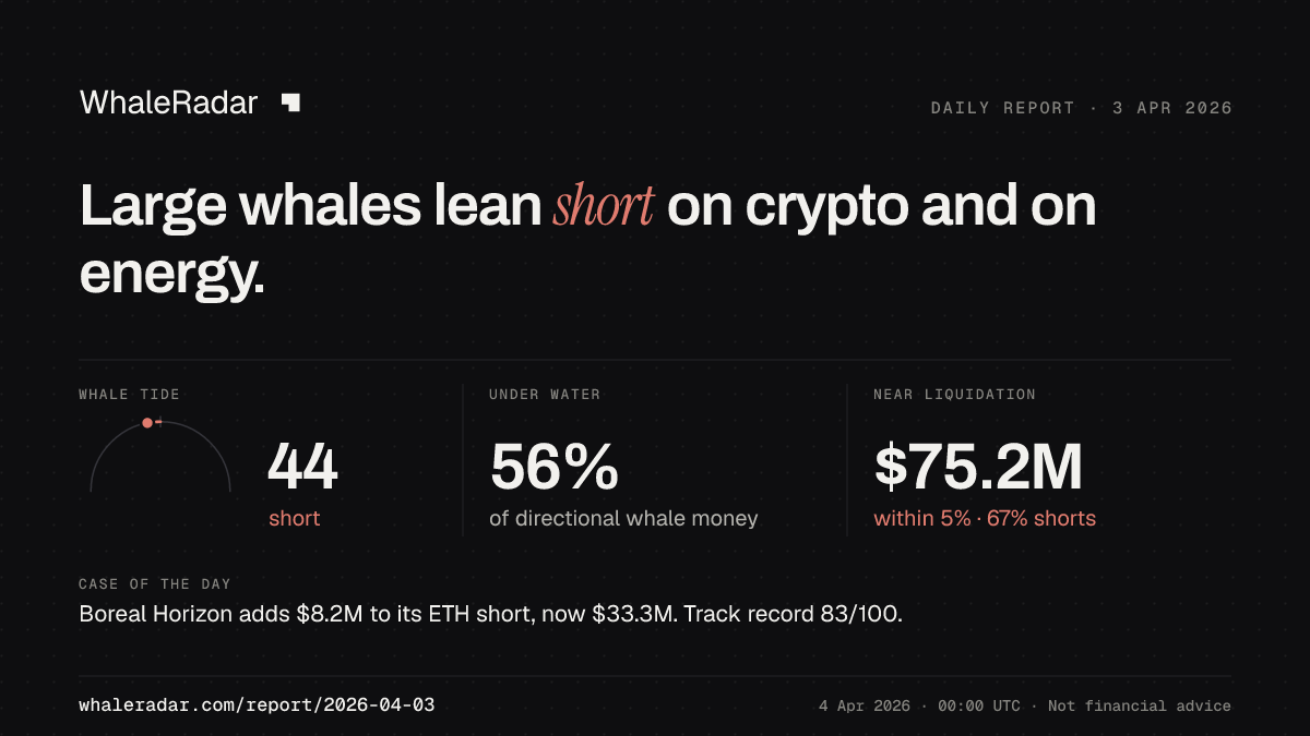 Share card for the report of 2026-04-03: Large whales lean short on crypto and on energy.