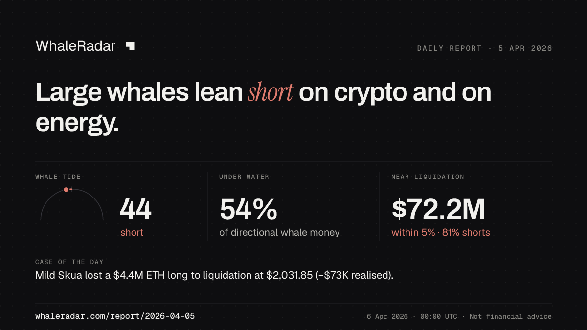 Share card for the report of 2026-04-05: Large whales lean short on crypto and on energy.