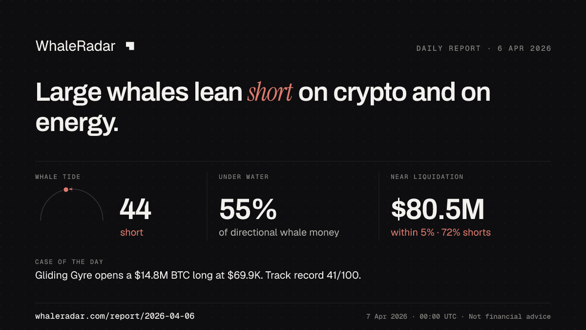Share card for the report of 2026-04-06: Large whales lean short on crypto and on energy.