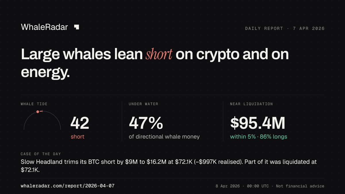Share card for the report of 2026-04-07: Large whales lean short on crypto and on energy.
