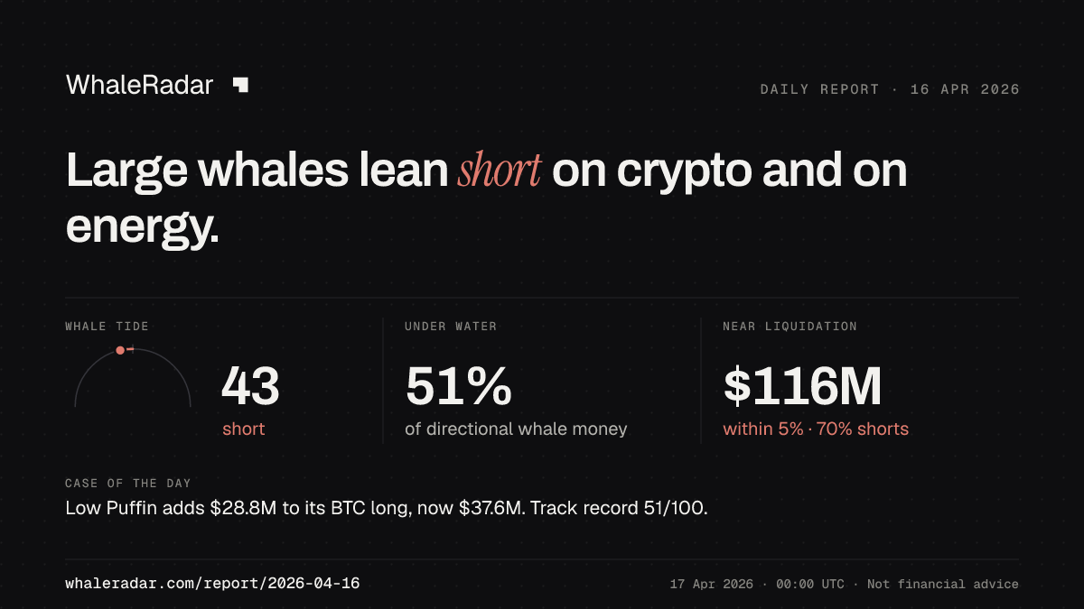 Share card for the report of 2026-04-16: Large whales lean short on crypto and on energy.