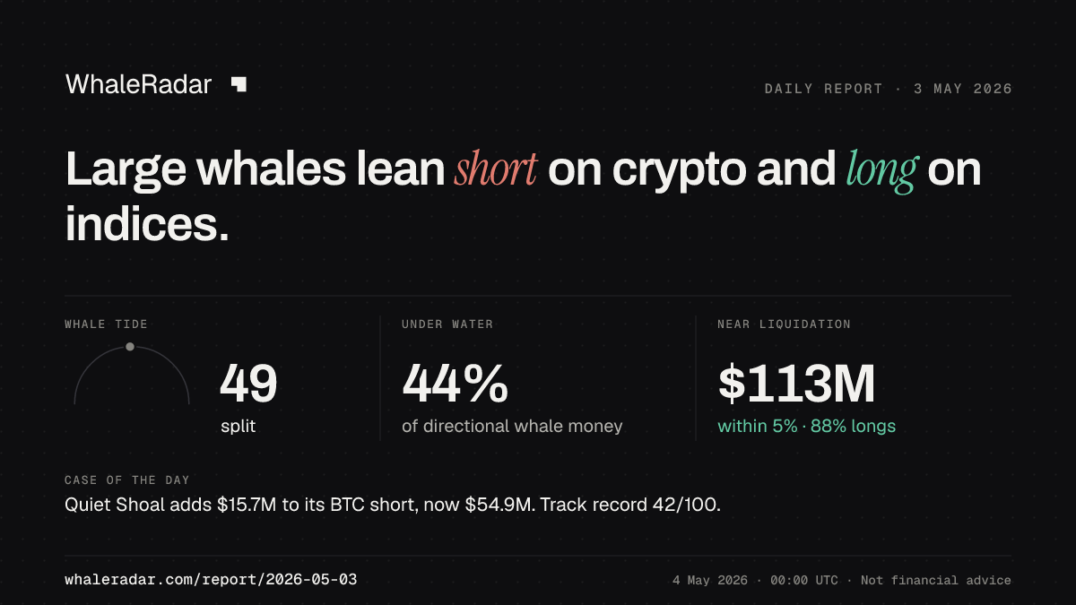 Share card for the report of 2026-05-03: Large whales lean short on crypto and long on indices.