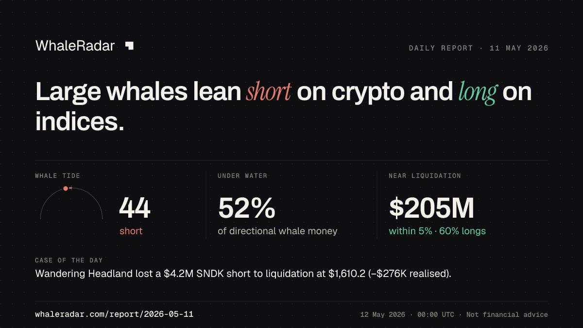 Share card for the report of 2026-05-11: Large whales lean short on crypto and long on indices.