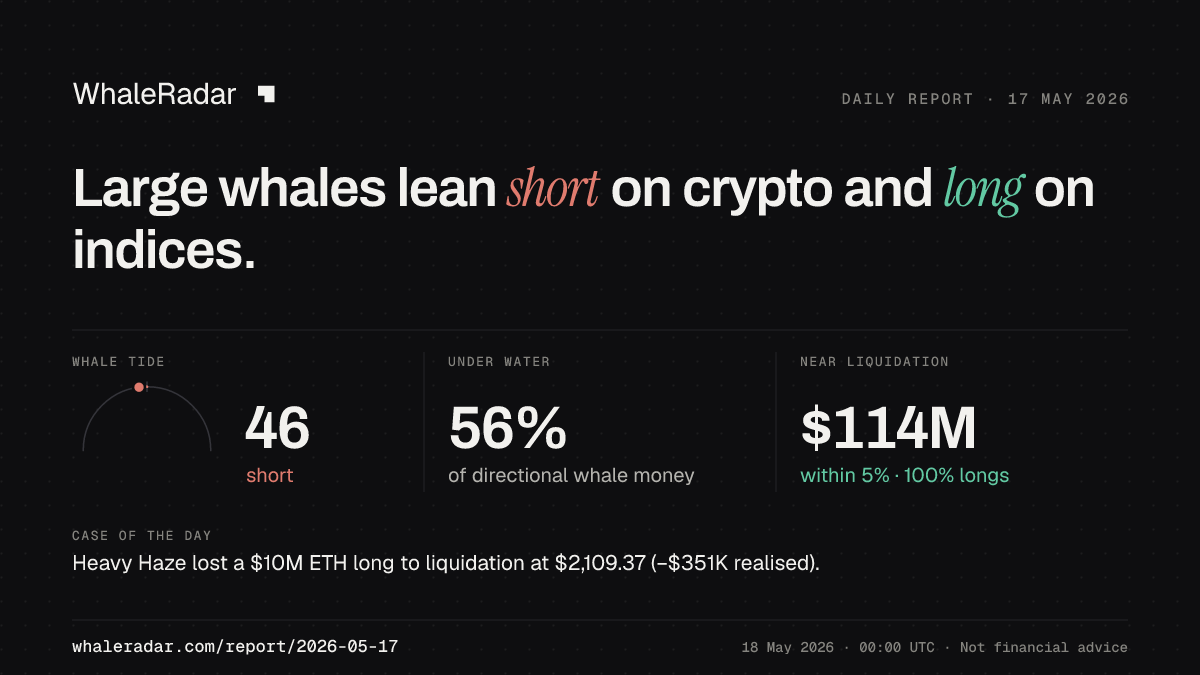 Share card for the report of 2026-05-17: Large whales lean short on crypto and long on indices.