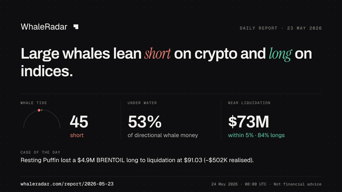 Share card for the report of 2026-05-23: Large whales lean short on crypto and long on indices.