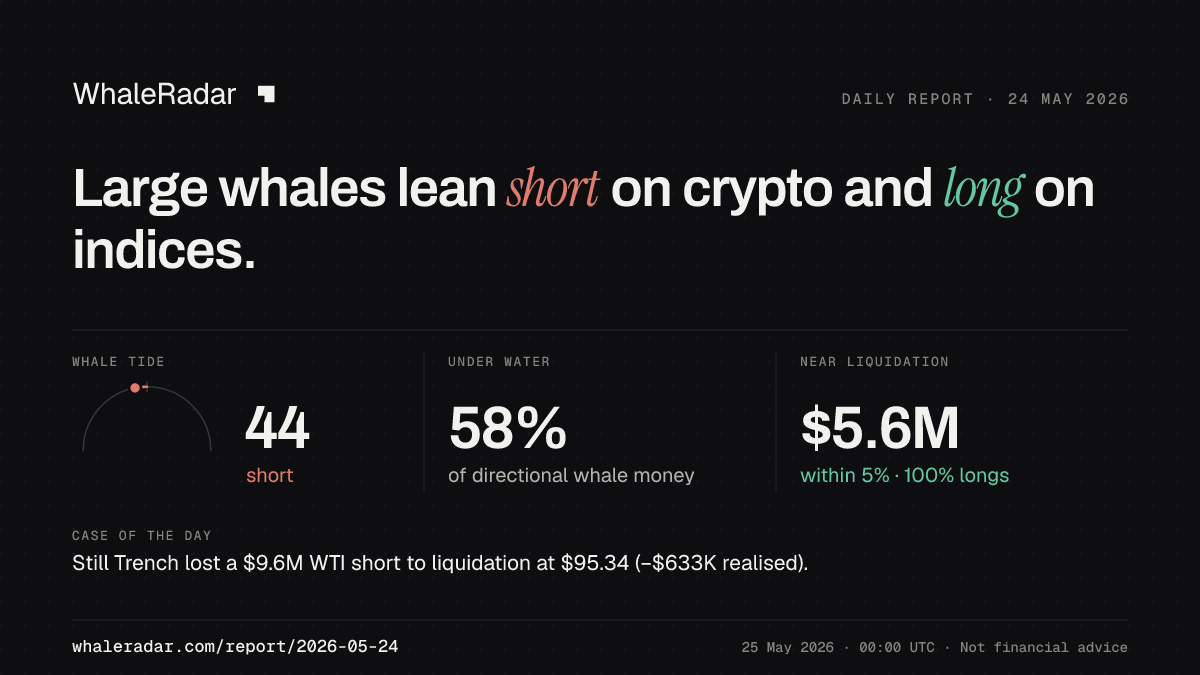 Share card for the report of 2026-05-24: Large whales lean short on crypto and long on indices.