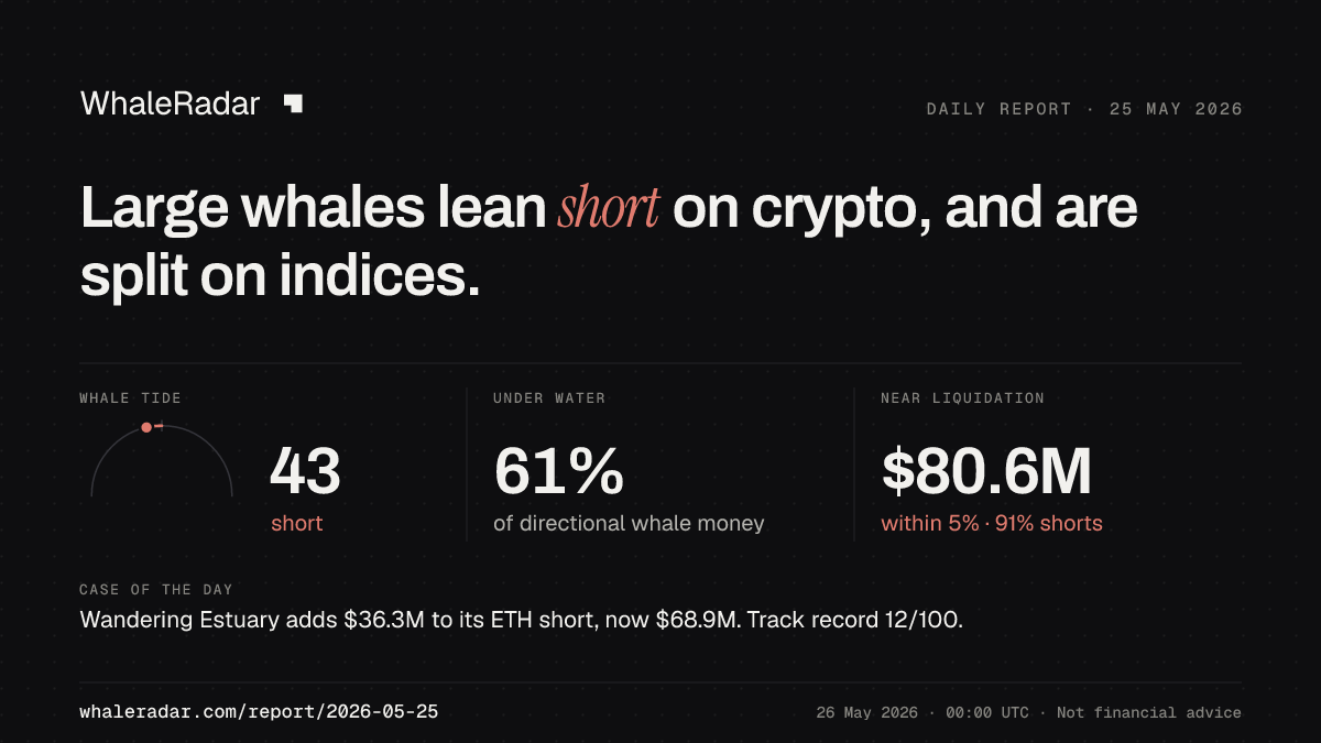 Share card for the report of 2026-05-25: Large whales lean short on crypto, and are split on indices.