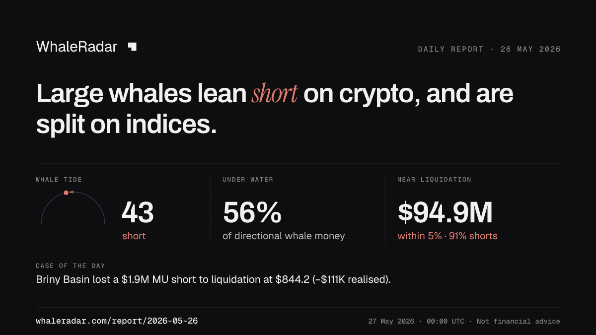 Share card for the report of 2026-05-26: Large whales lean short on crypto, and are split on indices.