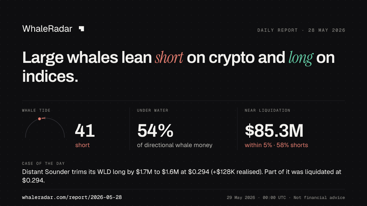 Share card for the report of 2026-05-28: Large whales lean short on crypto and long on indices.