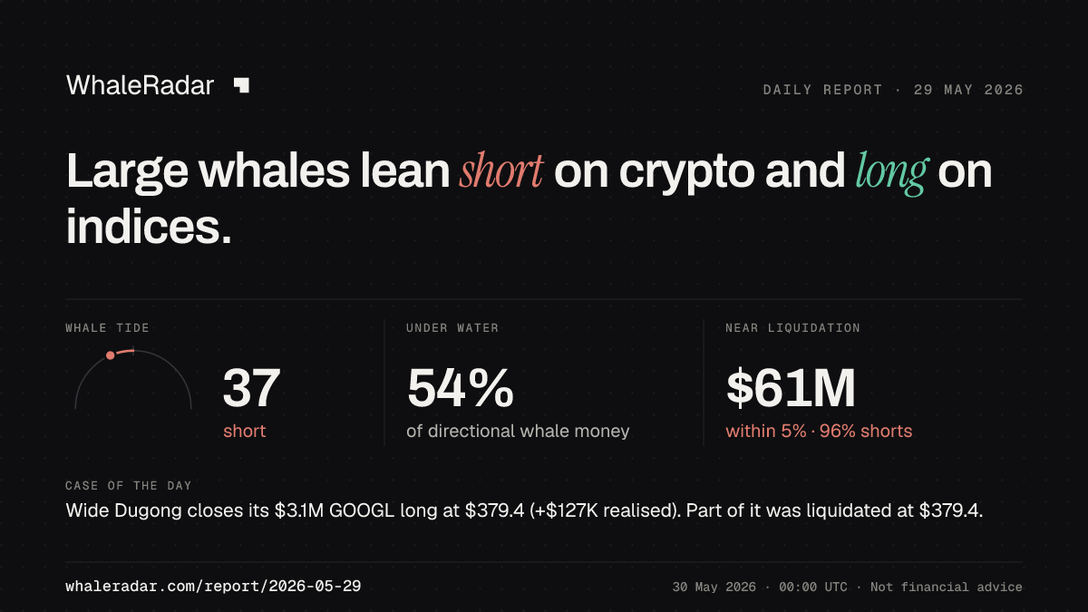 Share card for the report of 2026-05-29: Large whales lean short on crypto and long on indices.