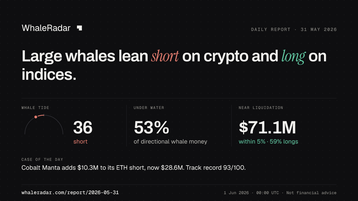 Share card for the report of 2026-05-31: Large whales lean short on crypto and long on indices.