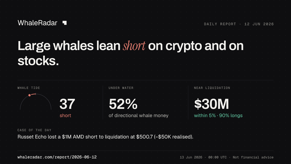 Share card for the report of 2026-06-12: Large whales lean short on crypto and on stocks.