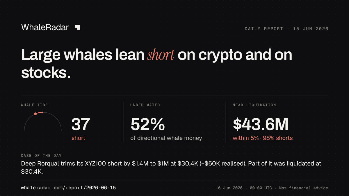 Share card for the report of 2026-06-15: Large whales lean short on crypto and on stocks.