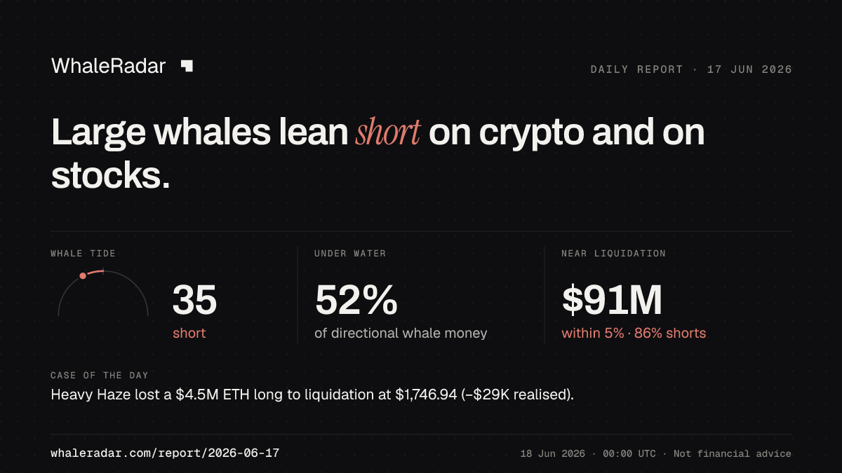 Share card for the report of 2026-06-17: Large whales lean short on crypto and on stocks.