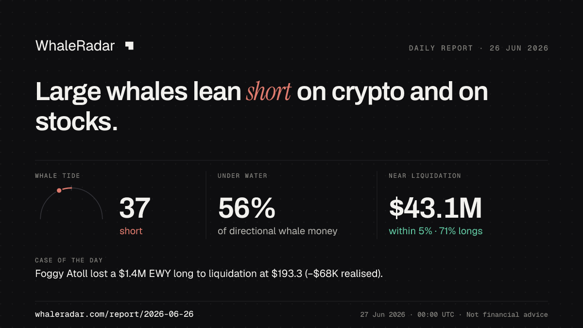 Share card for the report of 2026-06-26: Large whales lean short on crypto and on stocks.