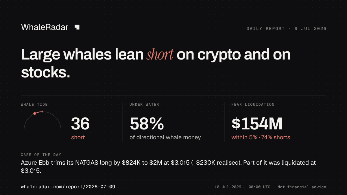 Share card for the report of 2026-07-09: Large whales lean short on crypto and on stocks.