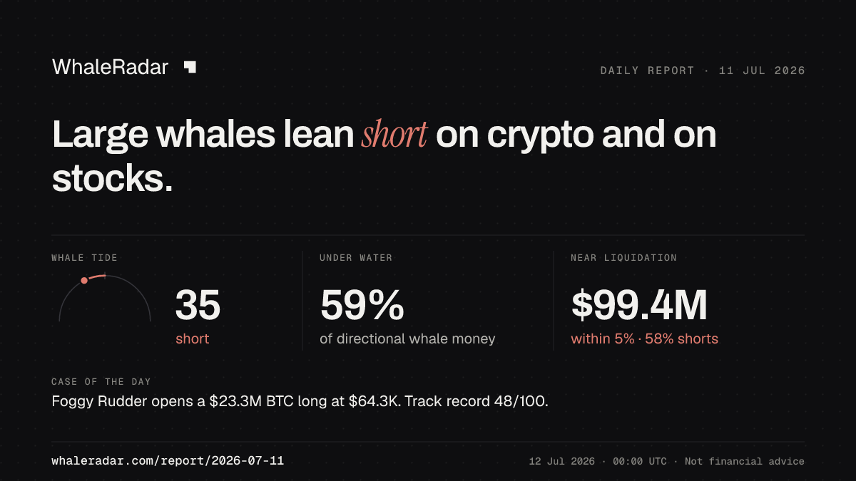 Share card for the report of 2026-07-11: Large whales lean short on crypto and on stocks.