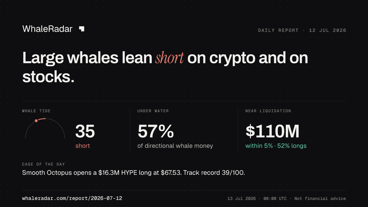 Share card for the report of 2026-07-12: Large whales lean short on crypto and on stocks.