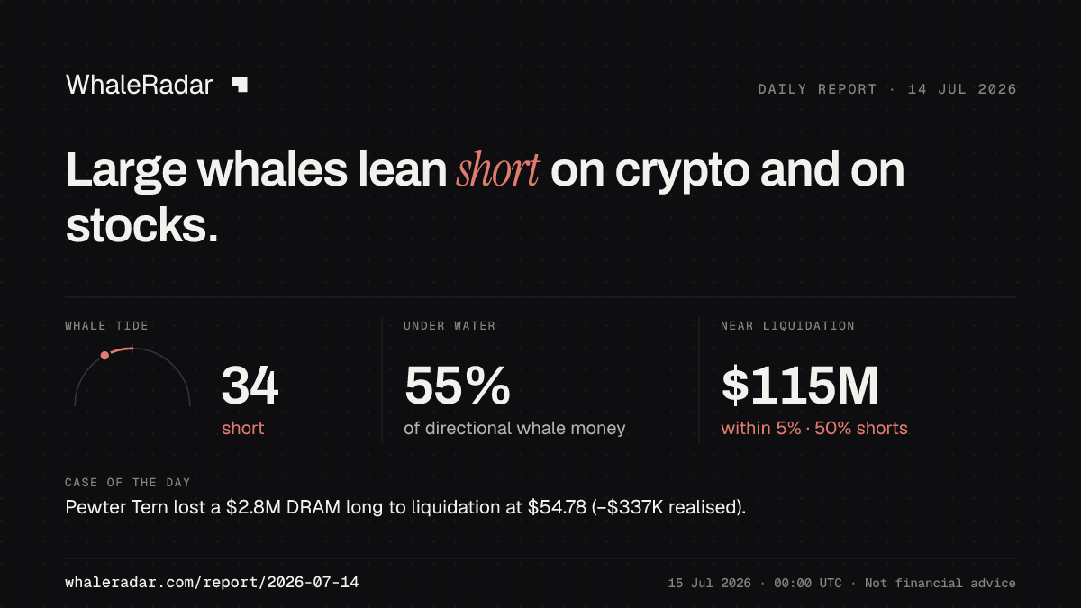 Share card for the report of 2026-07-14: Large whales lean short on crypto and on stocks.