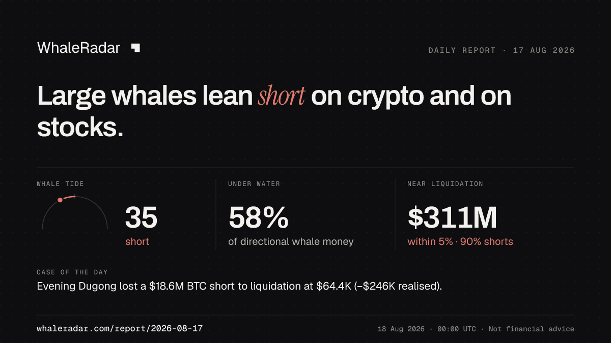 Share card for the report of 2026-08-17: Large whales lean short on crypto and on stocks.