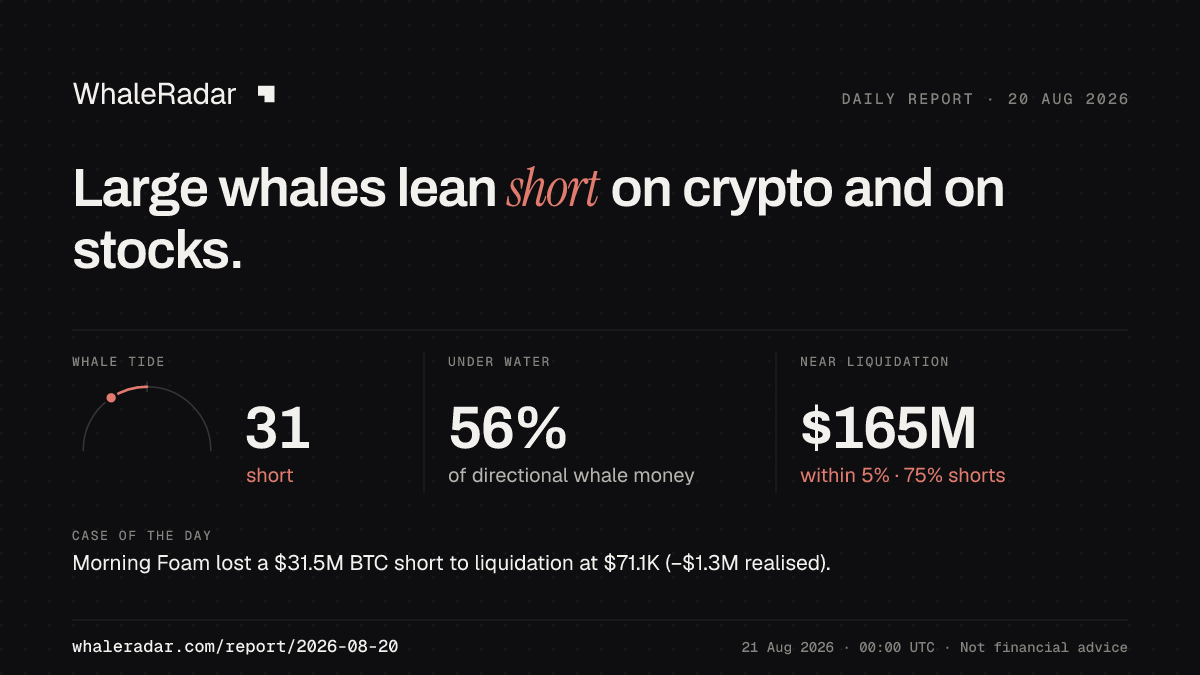 Share card for the report of 2026-08-20: Large whales lean short on crypto and on stocks.