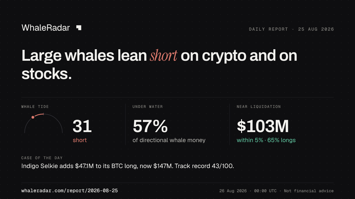 Share card for the report of 2026-08-25: Large whales lean short on crypto and on stocks.