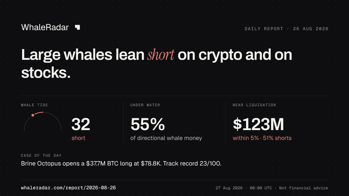 Share card for the report of 2026-08-26: Large whales lean short on crypto and on stocks.
